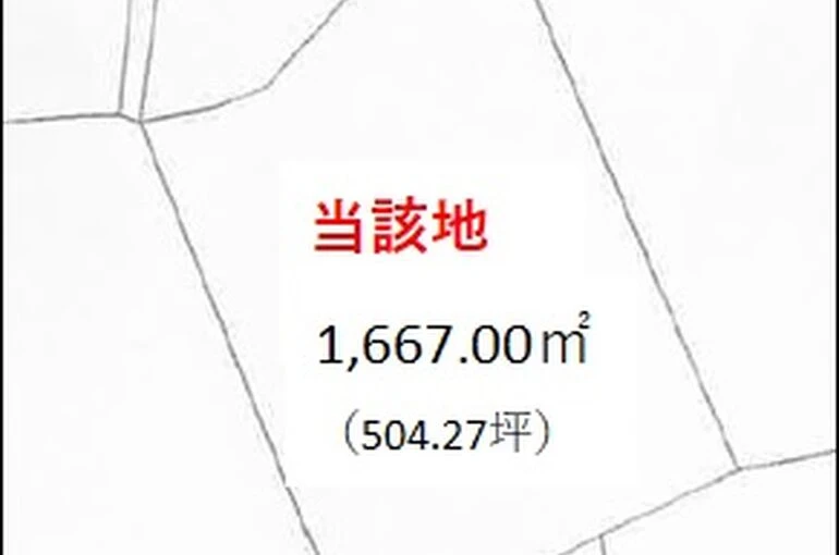 地型