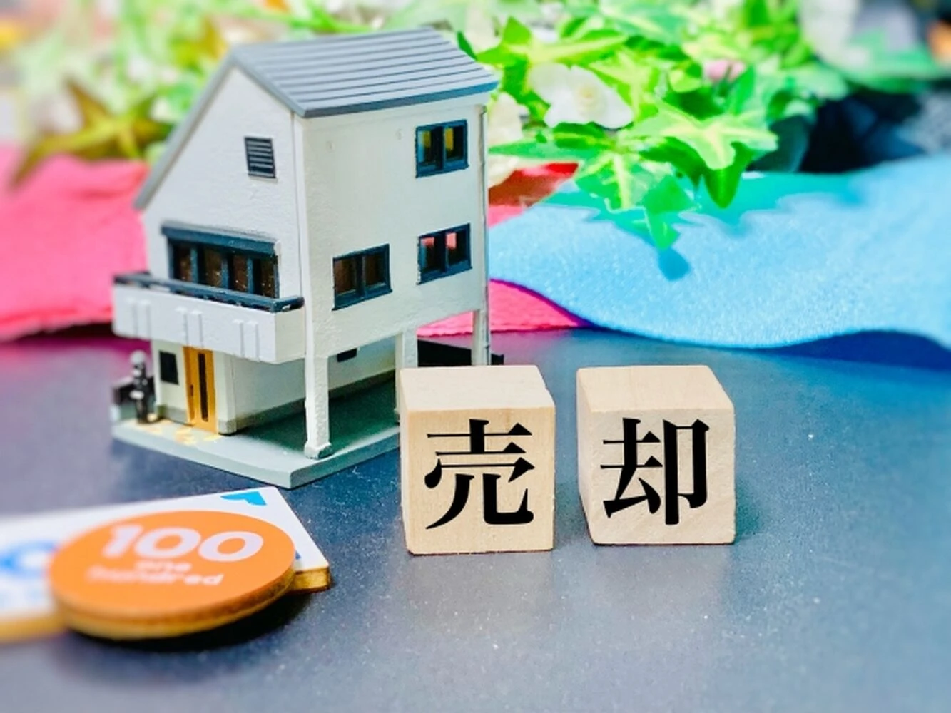 画像5715