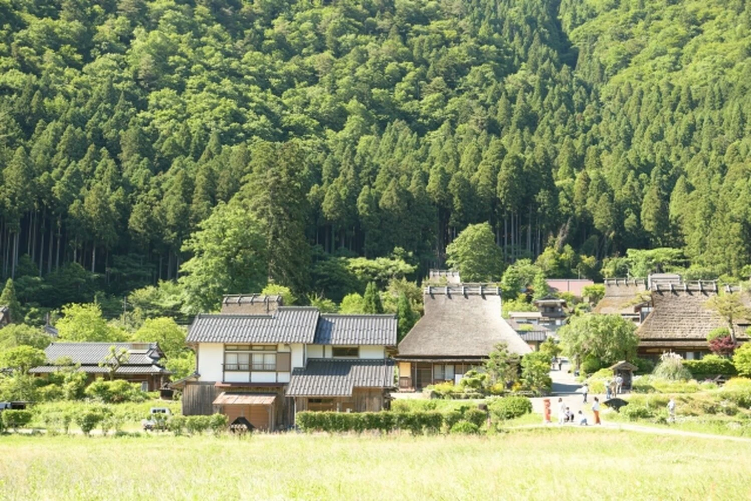 画像6712